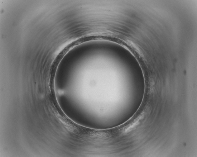 X0000089930830200706291155