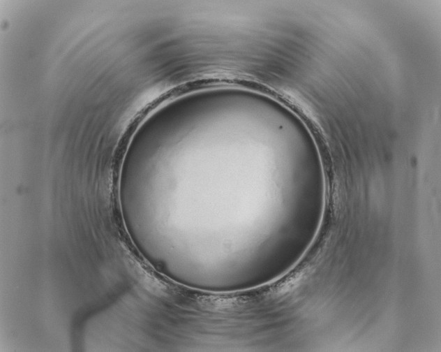 X0000089930831200706291155