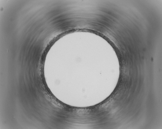 X0000089930832200706291155