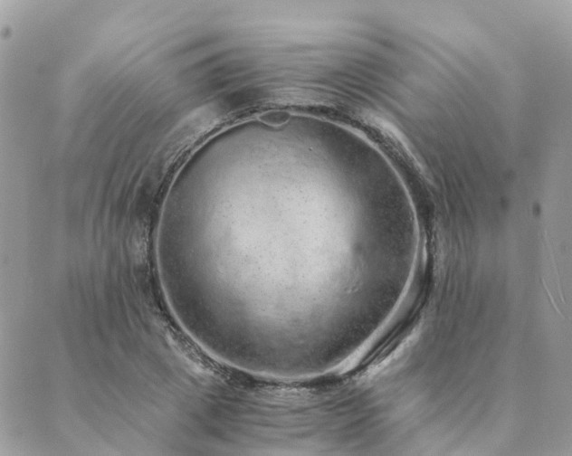 X0000089930833200706291155