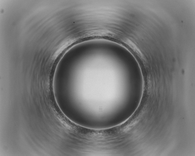 X0000089930834200706291155