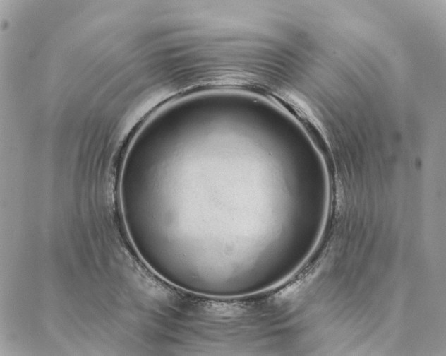 X0000089930835200706291155