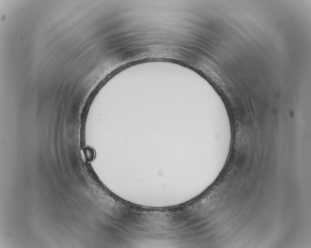 X0000089930836200706291155