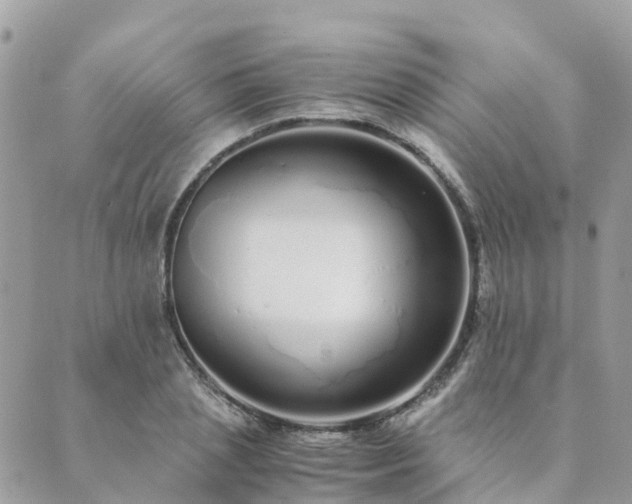 X0000089930837200706291155