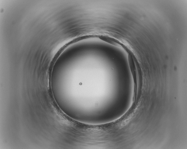 X0000089930838200706291155