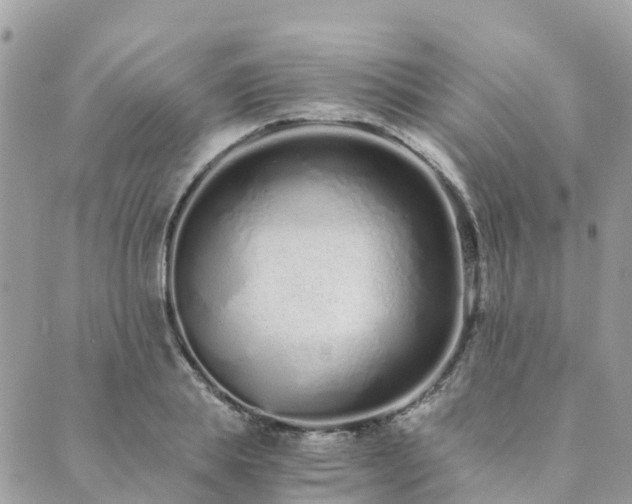 X0000089930839200706291155