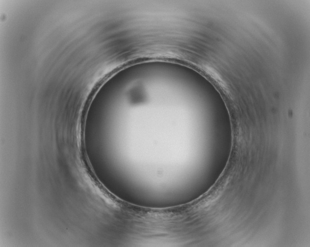 X0000089930840200706291155