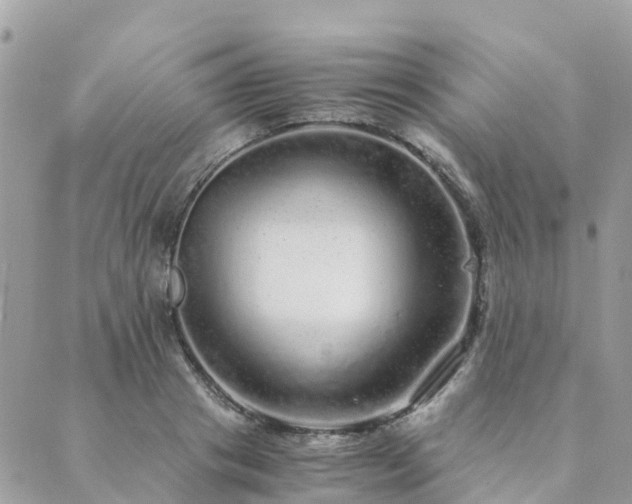 X0000089930841200706291155