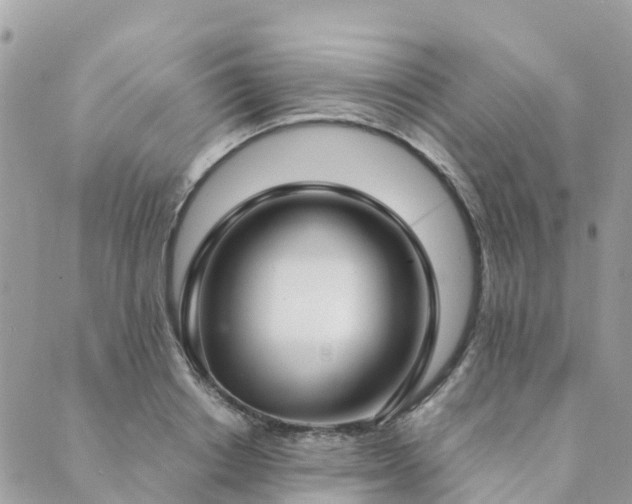 X0000089930842200706291156