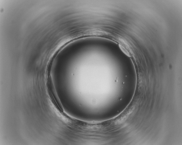 X0000089930843200706291156