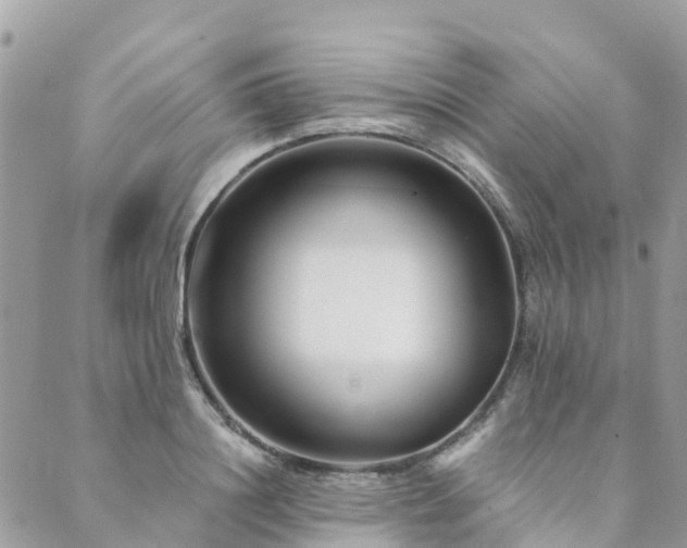 X0000089930844200706291156