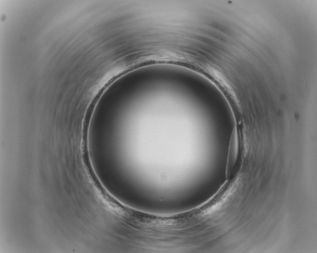 X0000089930845200706291156