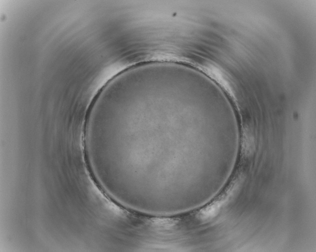 X0000089930847200706291156