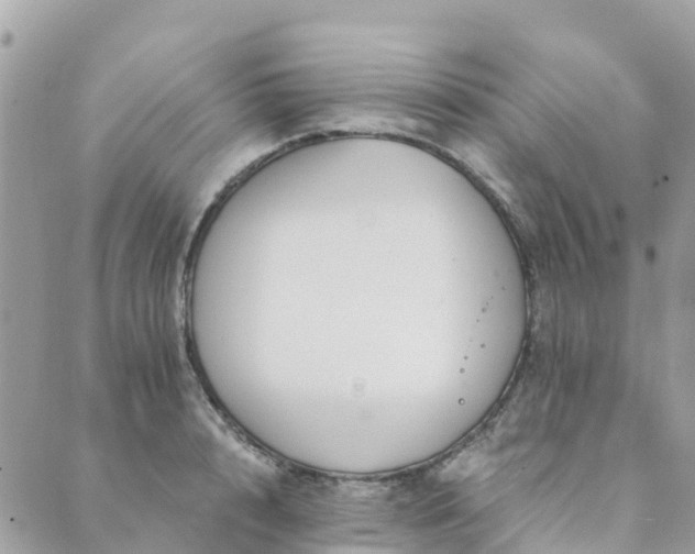 X0000089930848200706291156