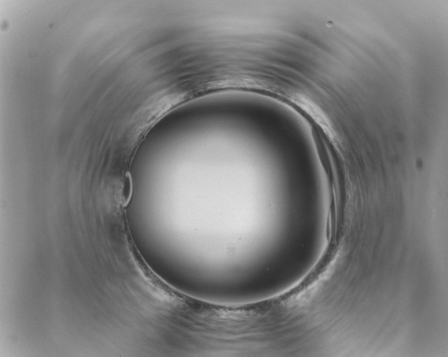 X0000089930849200706291156