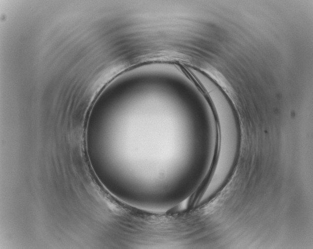 X0000089930850200706291156