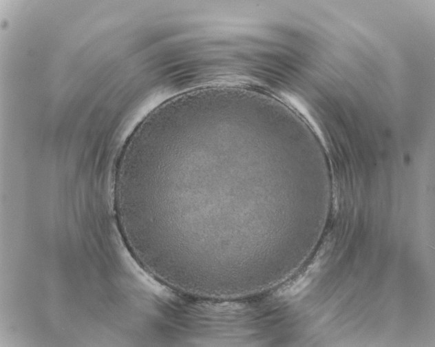 X0000089930851200706291156