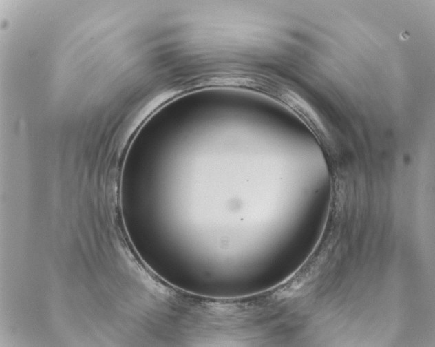 X0000089930852200706291156