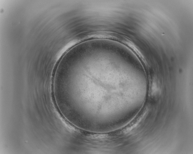 X0000089930853200706291156