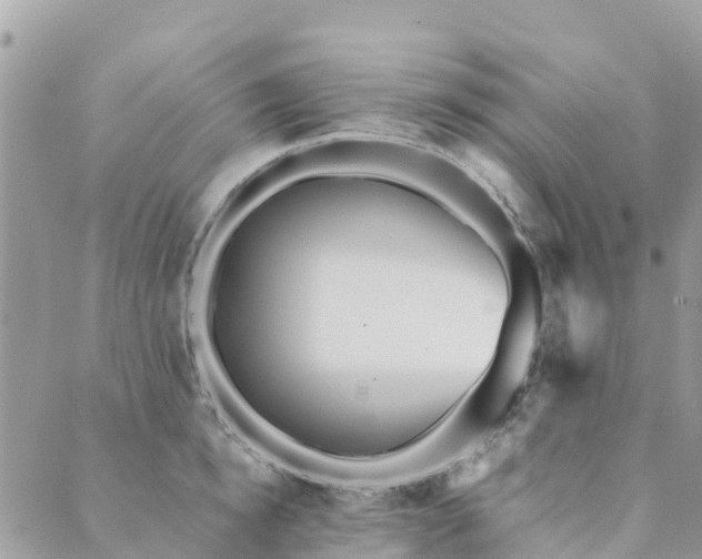 X0000089930854200706291156