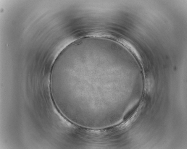 X0000089930855200706291156