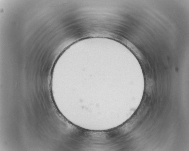 X0000089930856200706291156