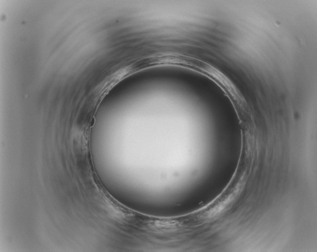 X0000089930857200706291156