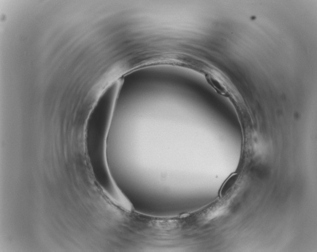 X0000089930858200706291156