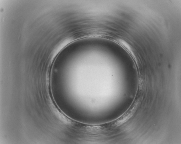 X0000089930859200706291156