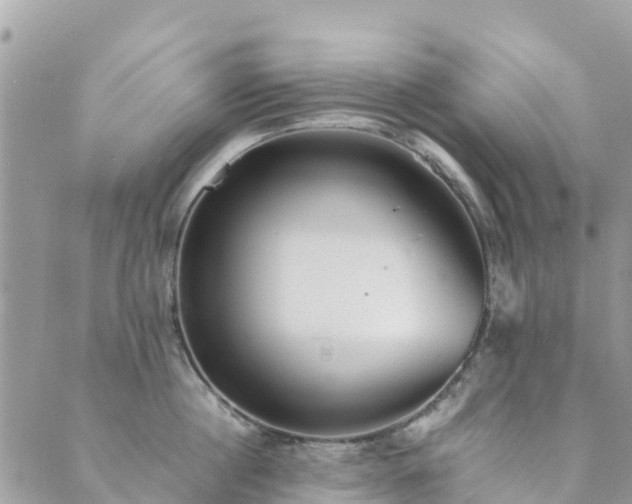 X0000089930860200706291156