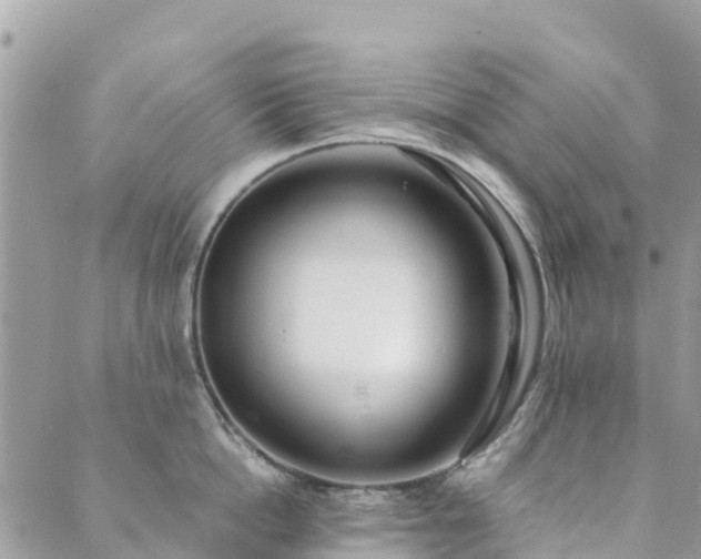 X0000089930862200706291156