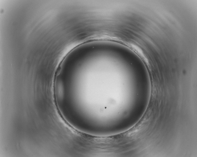 X0000089930863200706291156