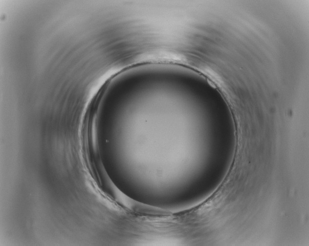 X0000089930864200706291156