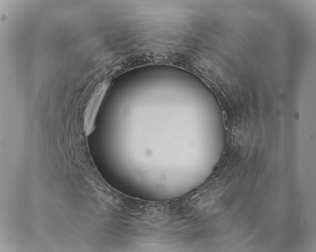 X0000089930865200706291155