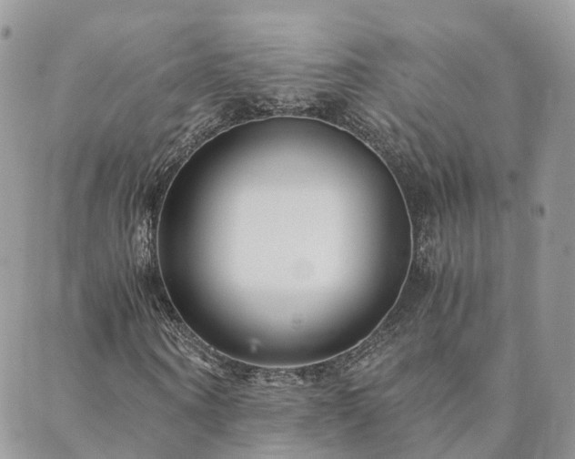 X0000089930866200706291155