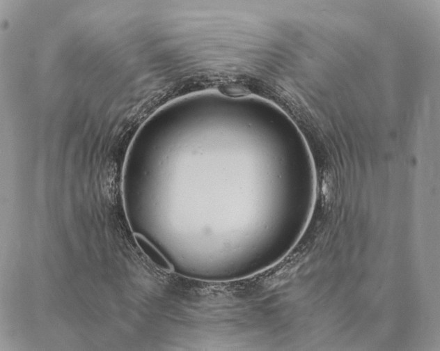 X0000089930867200706291155