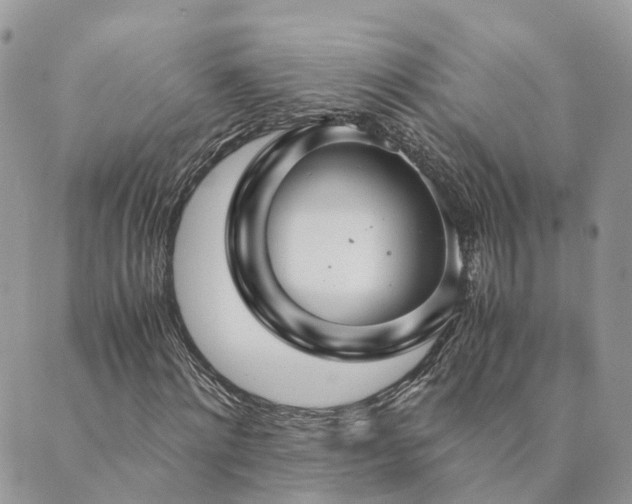 X0000089930868200706291155