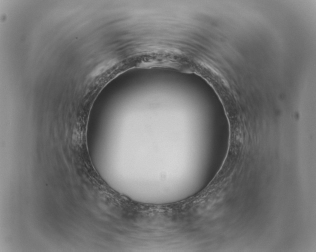 X0000089930869200706291155