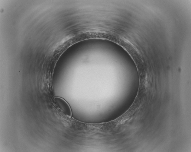 X0000089930870200706291155