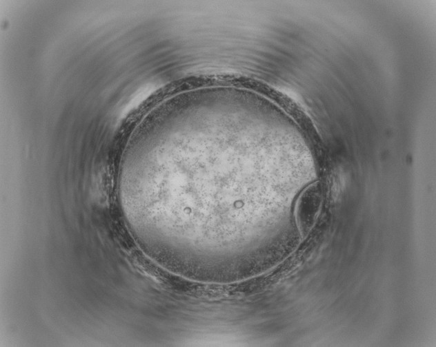 X0000089930871200706291155