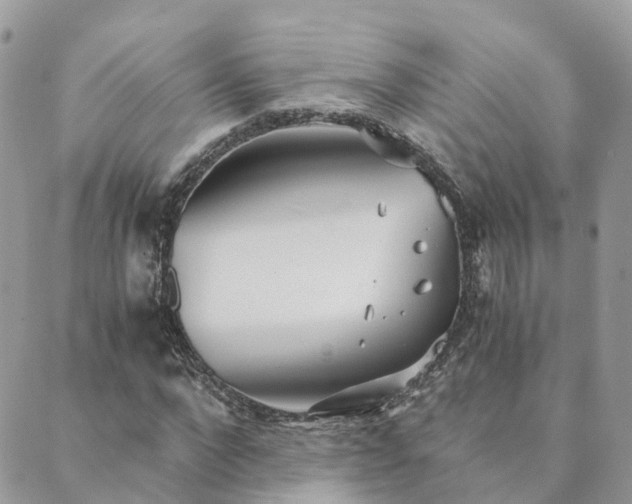 X0000089930872200706291155