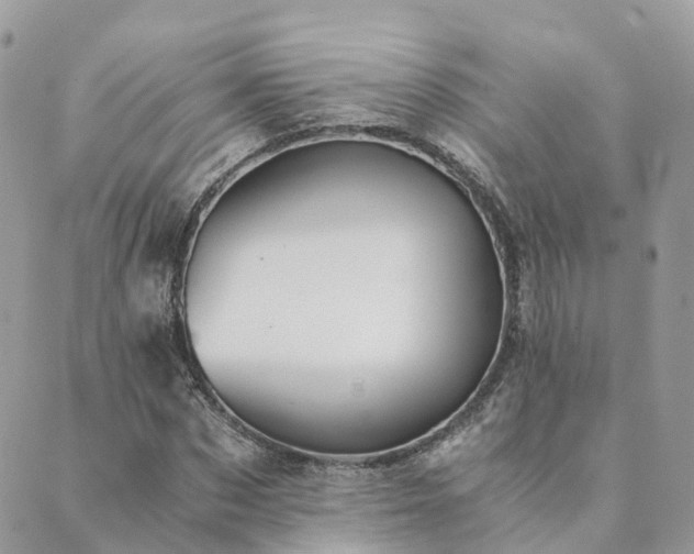 X0000089930873200706291155