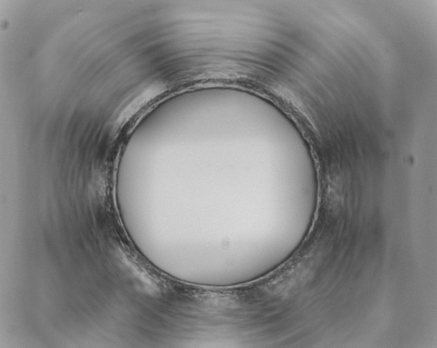 X0000089930874200706291155