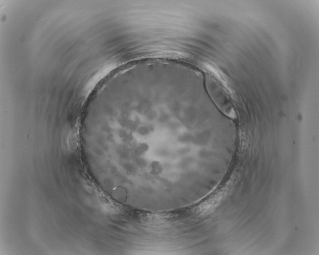 X0000089930875200706291155