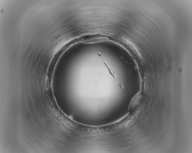 X0000089930876200706291155