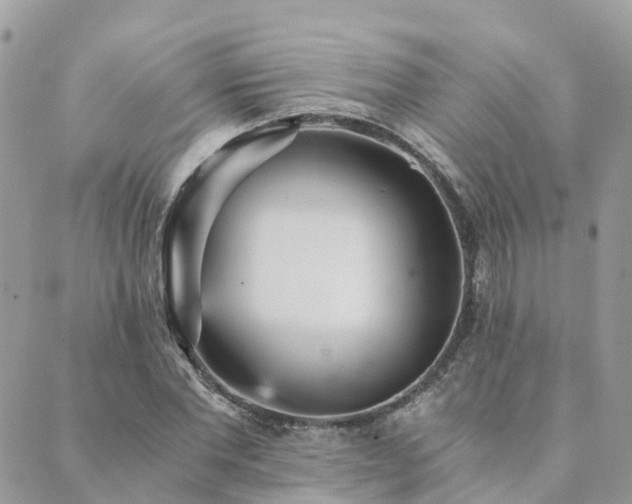 X0000089930877200706291155