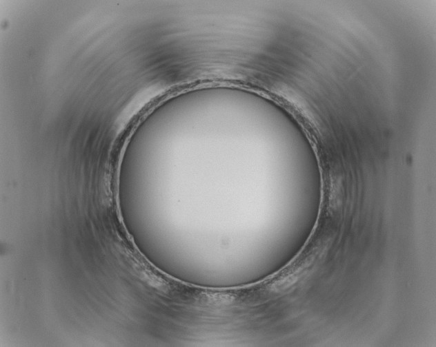 X0000089930878200706291155