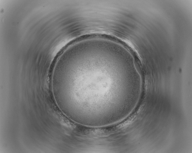 X0000089930879200706291155