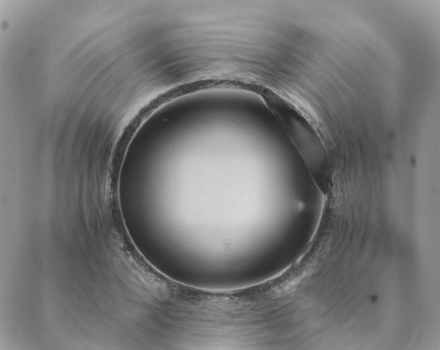 X0000089930880200706291155