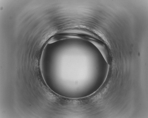 X0000089930881200706291155